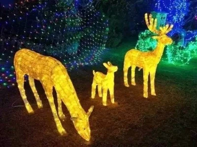Decorative Lighting Sketch Lamp